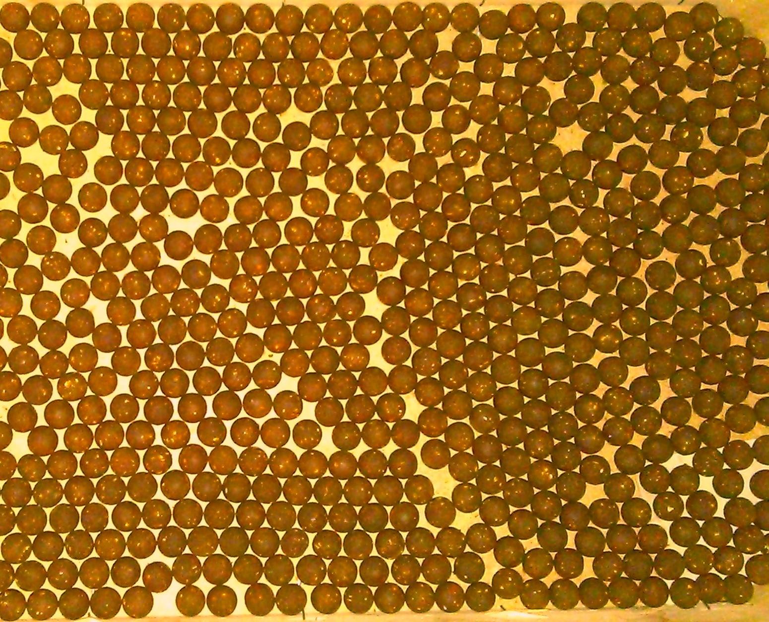 Vineri 13 - wp20140218003-2.jpg